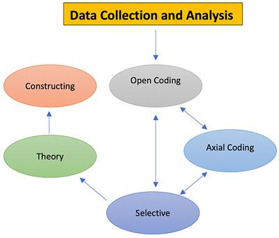Paving the way to net-zero: identifying environmental sustainability factors for business model innovation through carbon disclosure project data